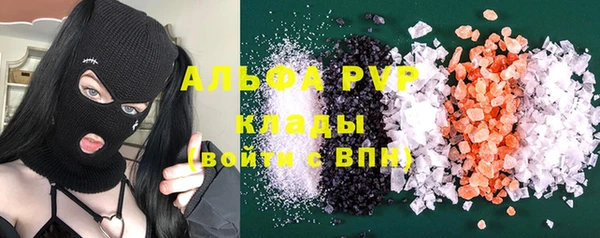 стаф Кинешма